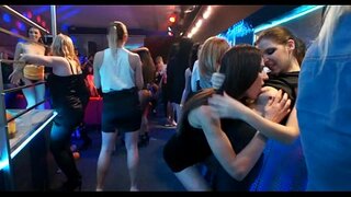 Strring až medov a fesaci wild potreby